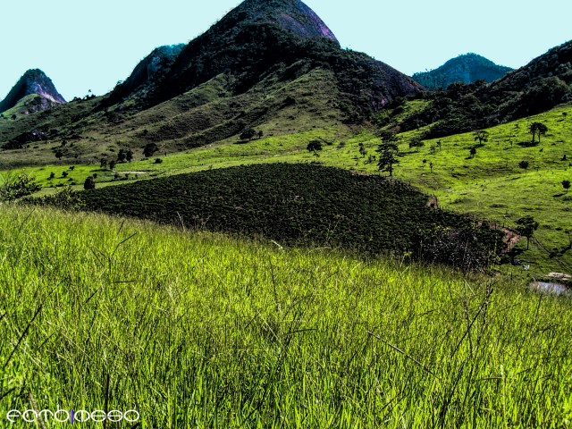 Brasil logo 18 (Small)